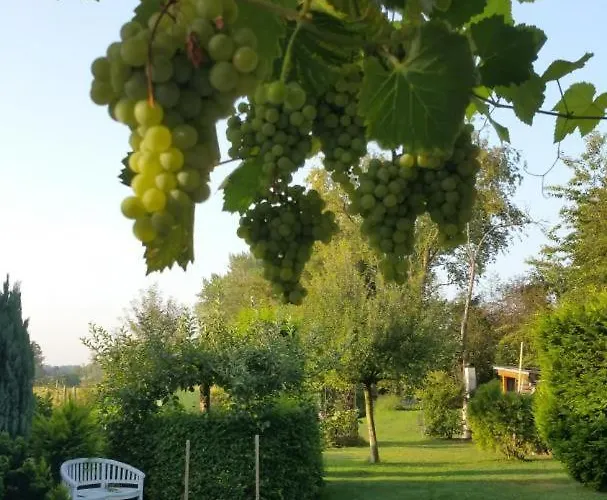 Apartment Neu! Nähe Spreewald